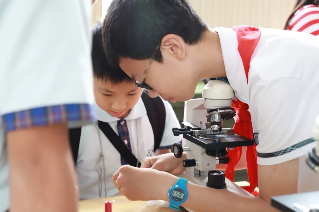 2.webp.jpg 2.webp.jpg