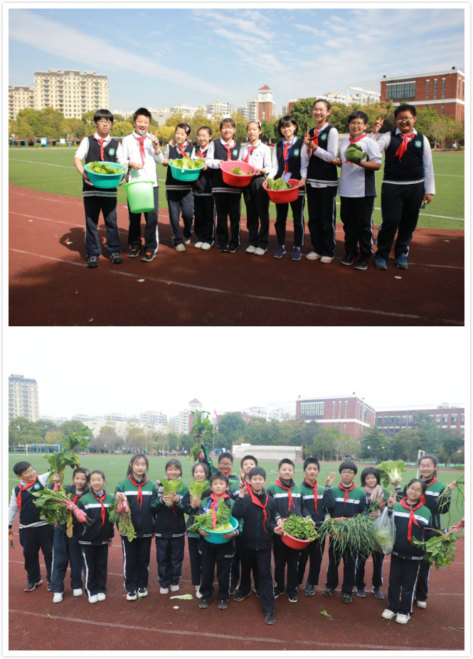 菜园实践1_meitu_1.jpg 菜园实践1_meitu_1.jpg