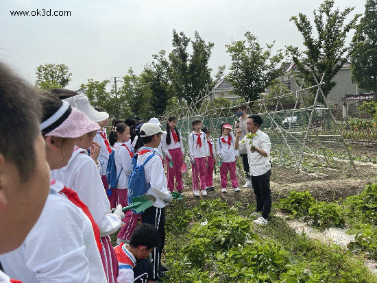 菜园劳动-1.gif 菜园劳动-1.gif