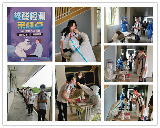 1核酸拼图.jpg 1核酸拼图.jpg