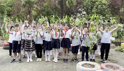 微信图片_20221010145948.png 微信图片_20221010145948.png