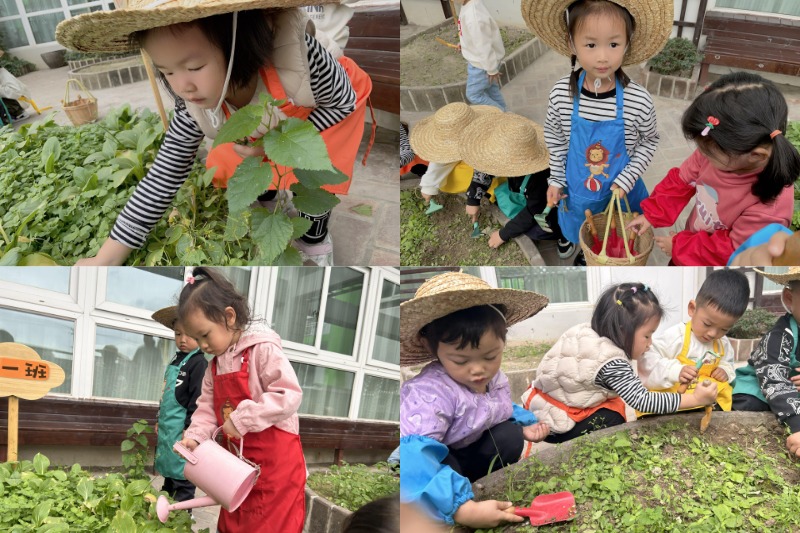 WPS图片拼图(8).png WPS图片拼图(8).png