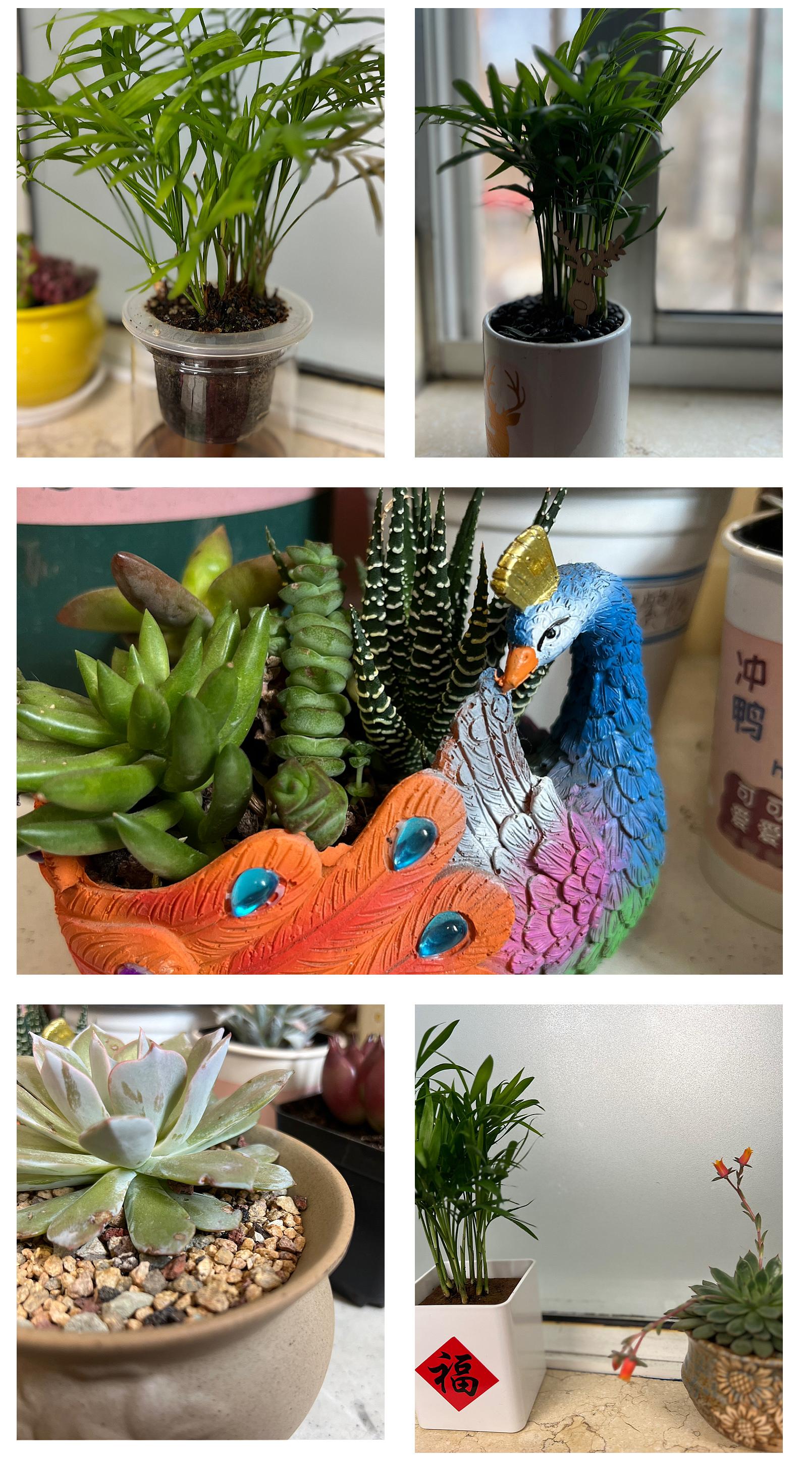 26142013fknh.jpg 26142013fknh.jpg