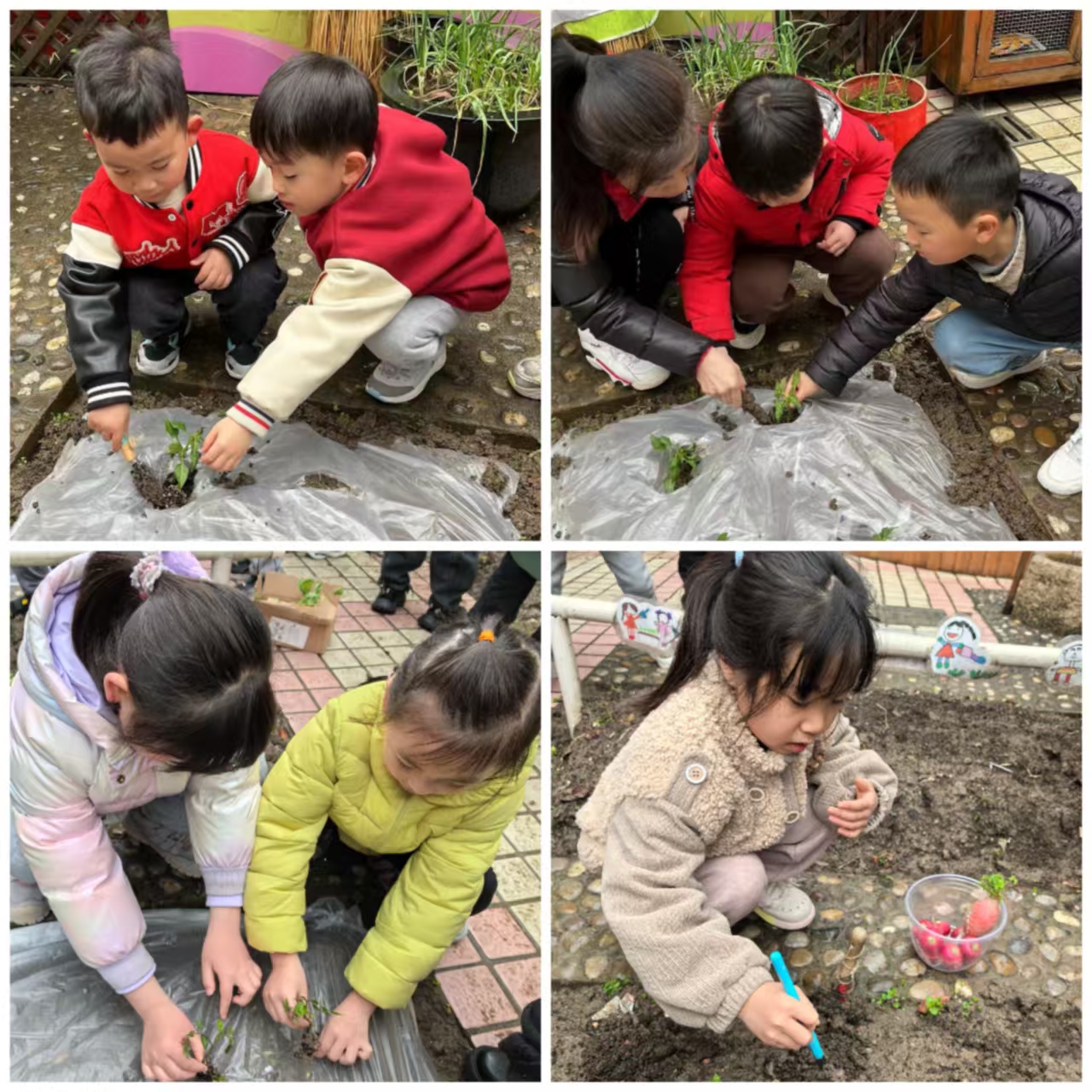 植树节1 (2).jpg 植树节1 (2).jpg