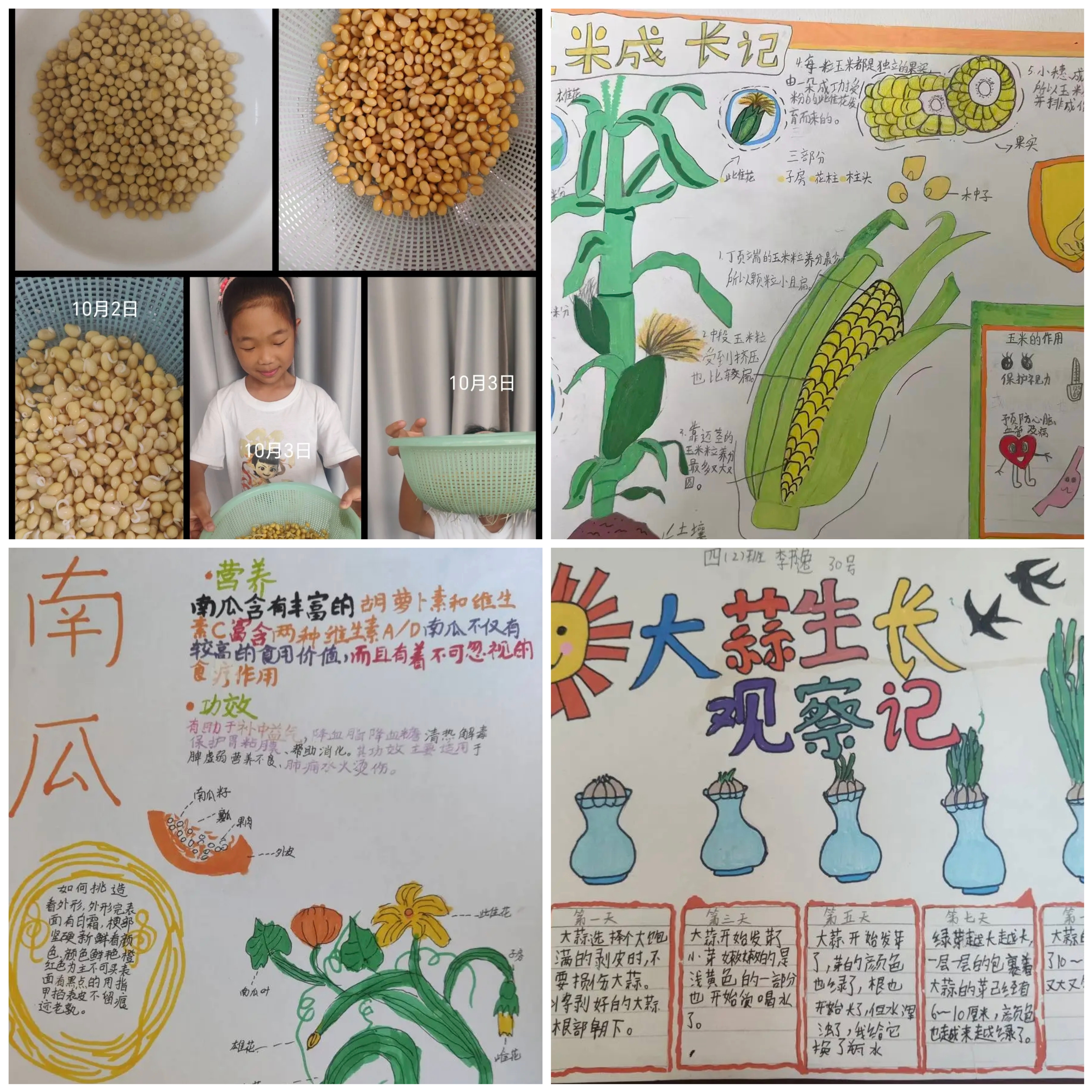 MEITU_20251010_203034416.jpg MEITU_20251010_203034416.jpg