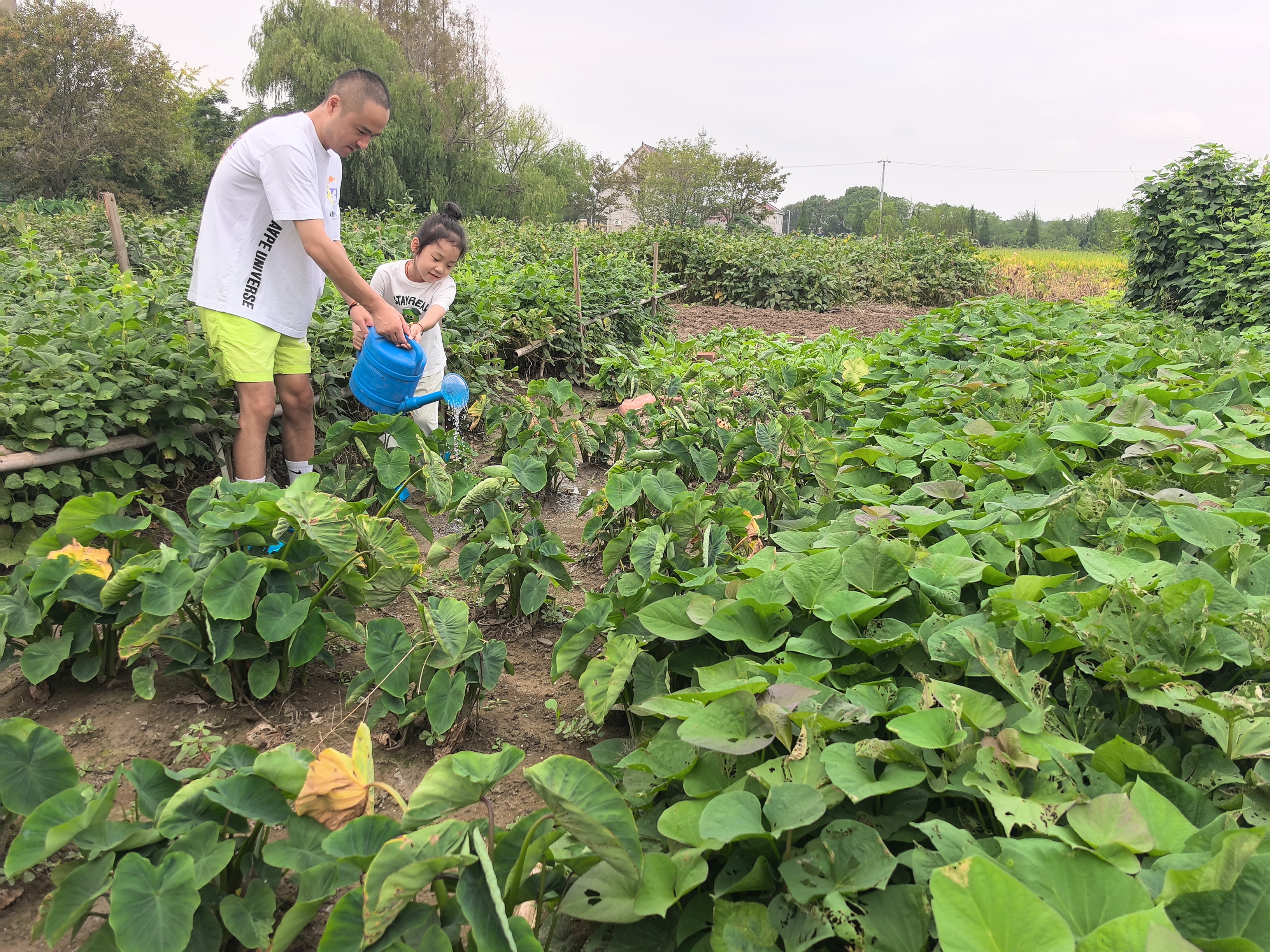 一4 (6).jpg 一4 (6).jpg