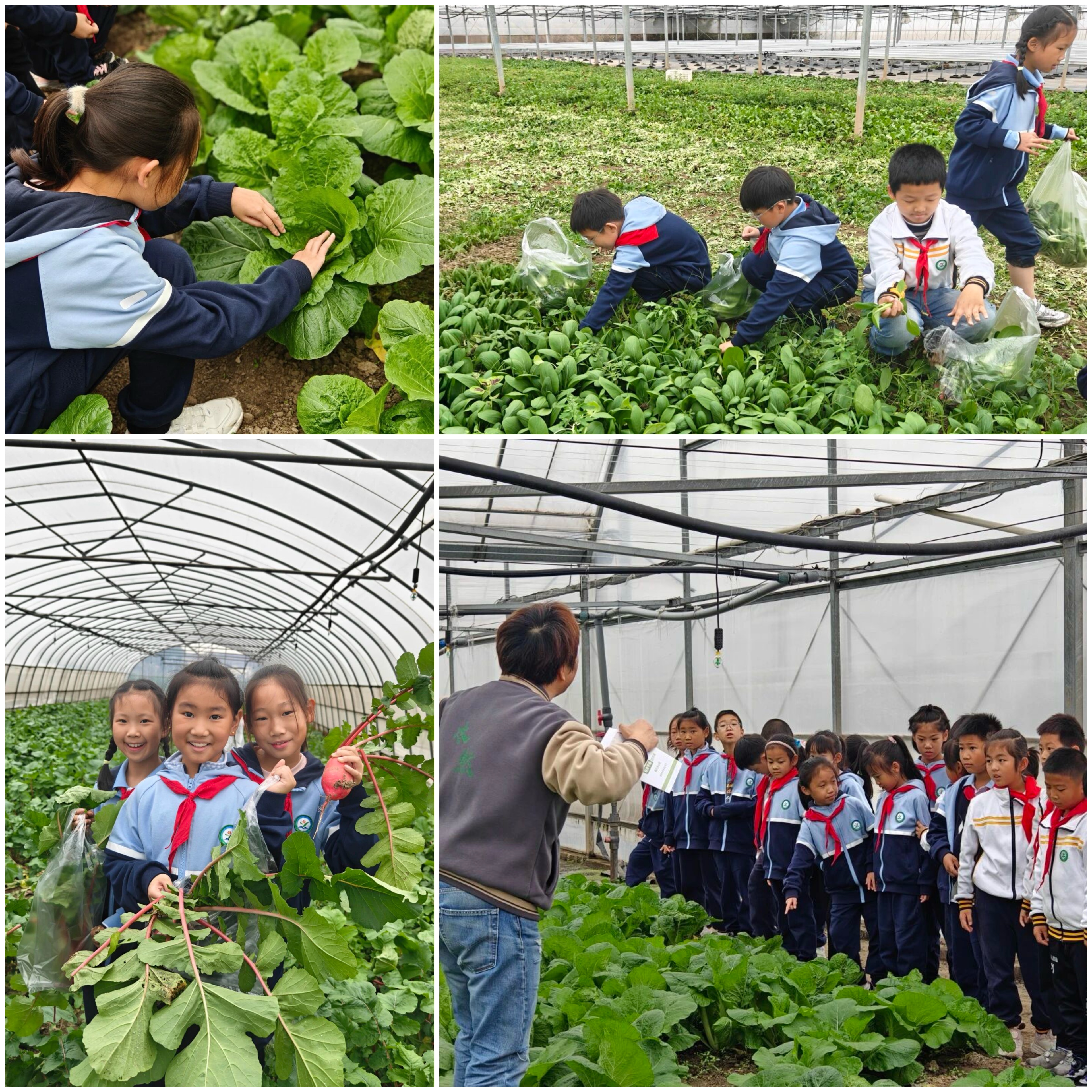 4D200C007AAA5A0C479E8F4092200054.png 4D200C007AAA5A0C479E8F4092200054.png