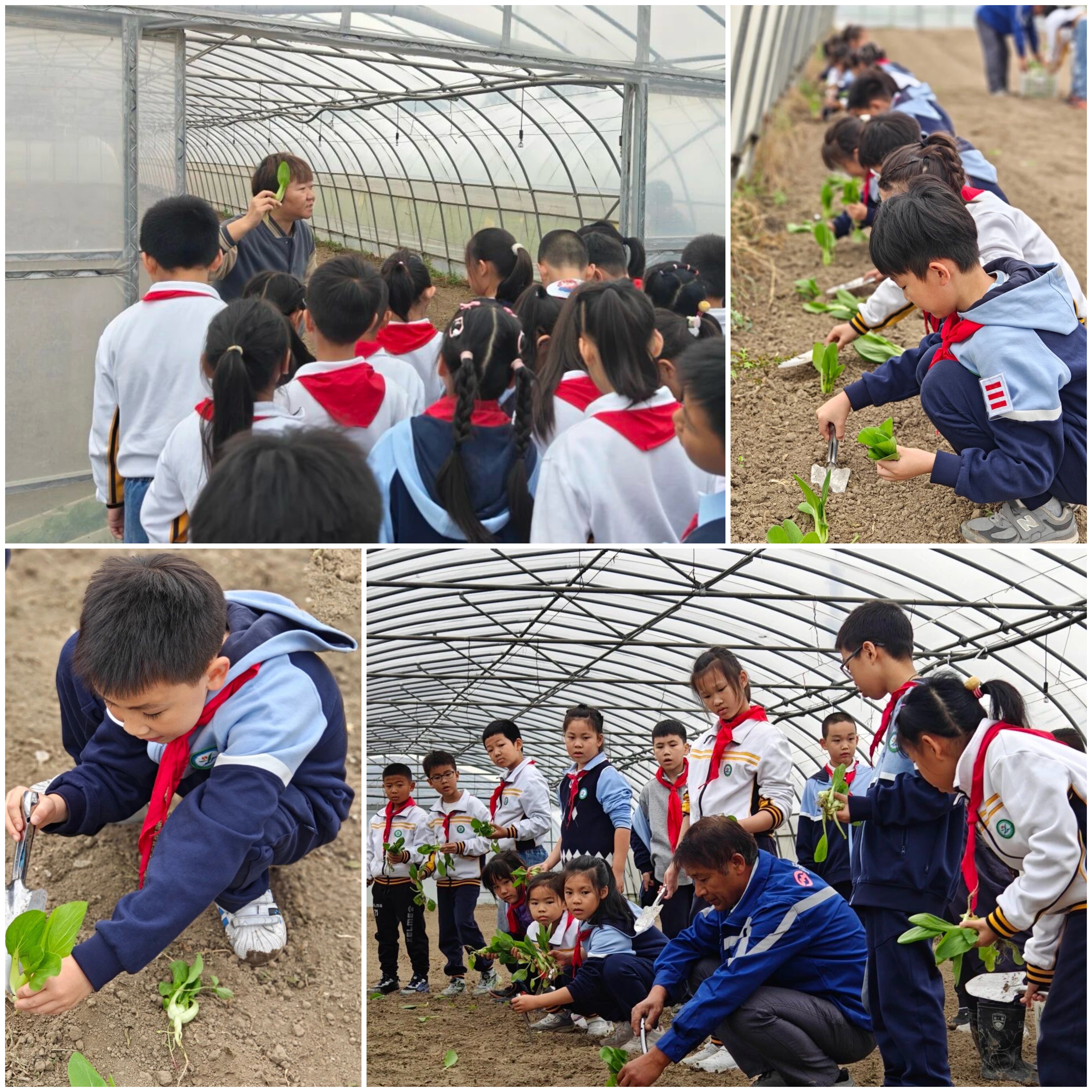 B7BE1C002E34083FC67D90F10EB7BC00.png B7BE1C002E34083FC67D90F10EB7BC00.png