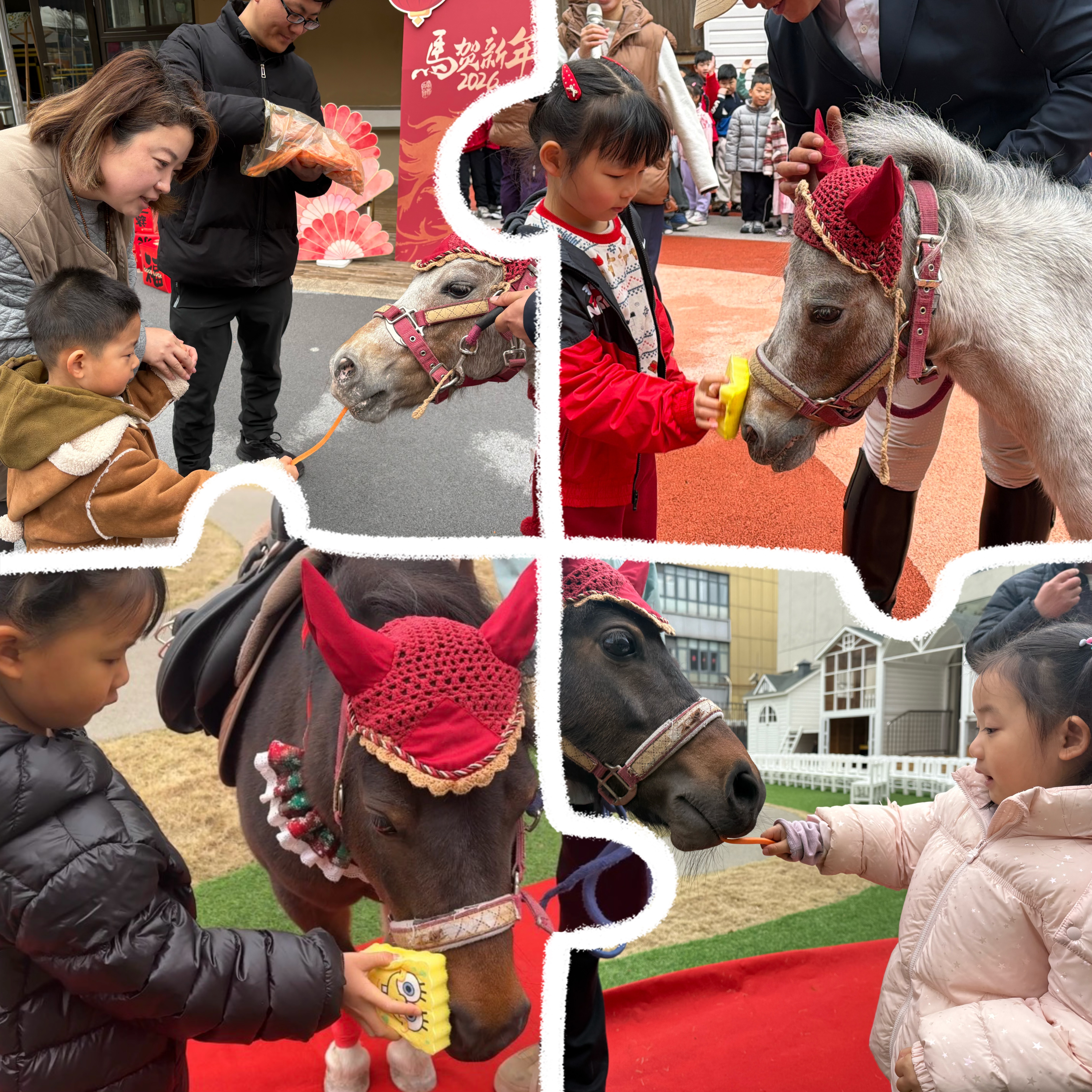 微信图片_20260303180331_485_22.jpg 微信图片_20260303180331_485_22.jpg