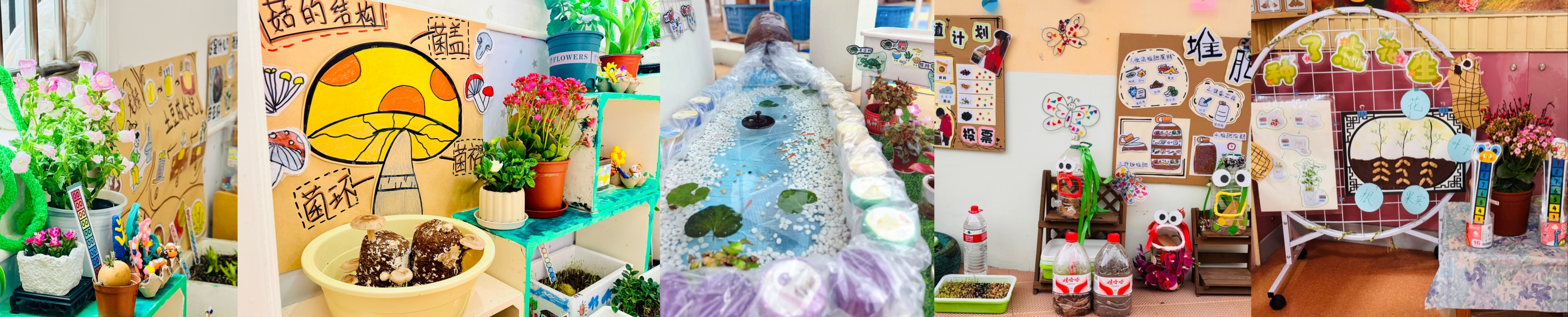 IMG_4824.jpg IMG_4824.jpg