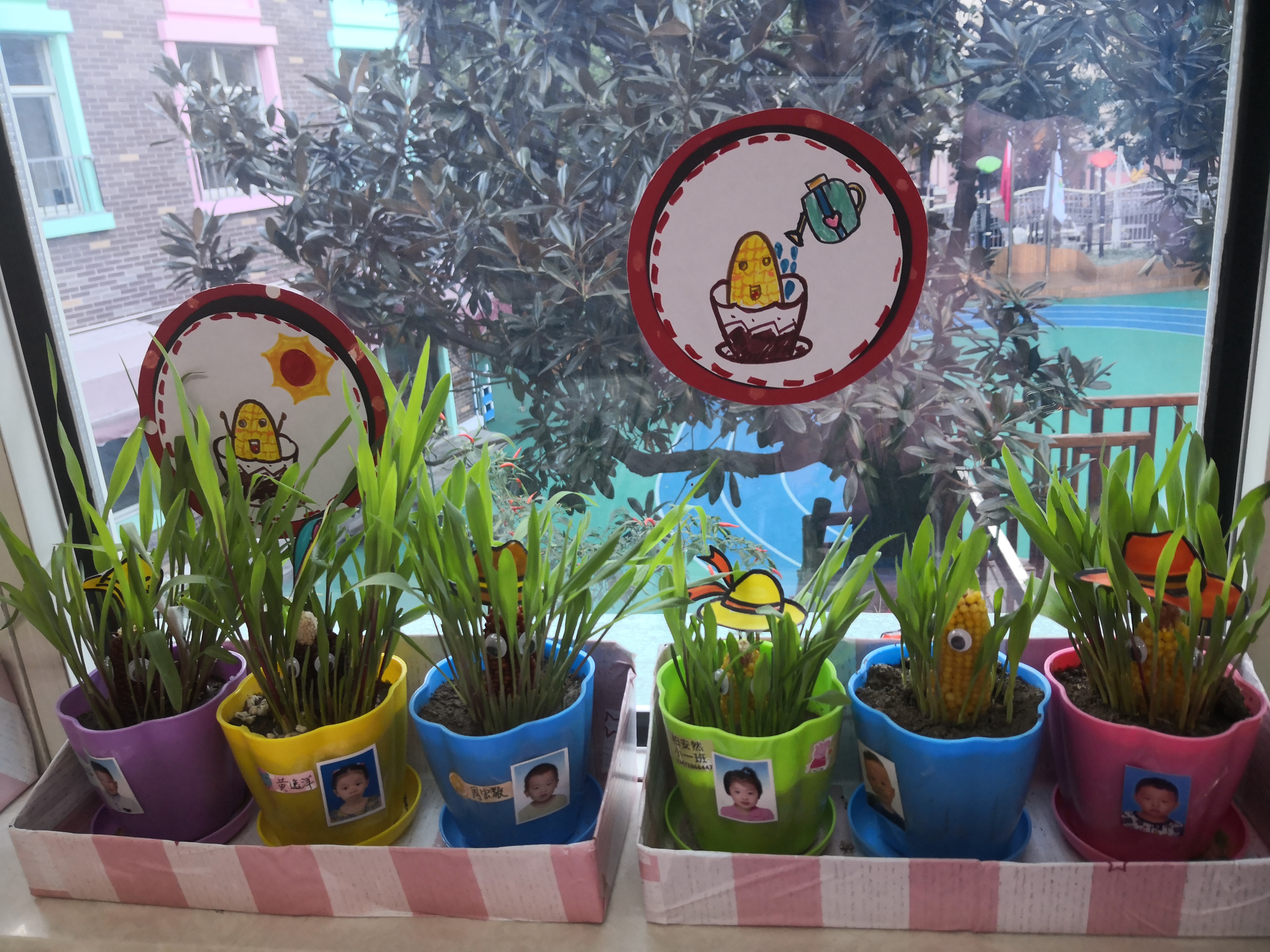 webwxgetmsgimg (2).jpg