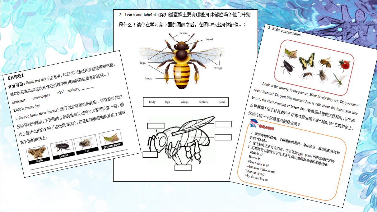 图2.png