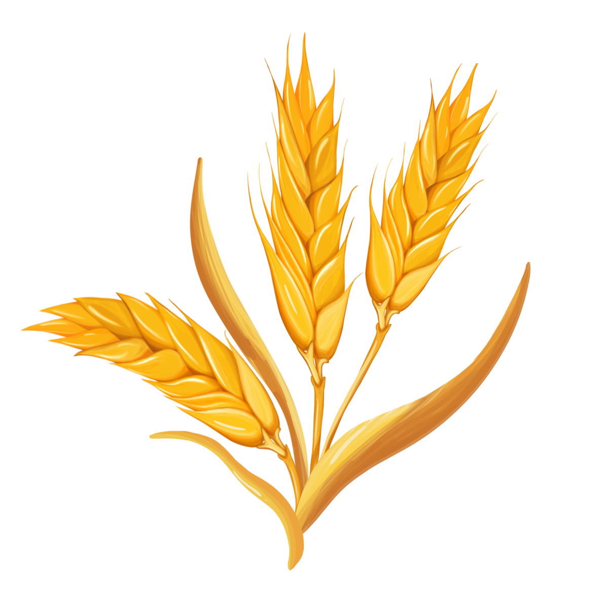 千库网_小麦麦穗黄色叶子剪贴画_元素编号13270556.png