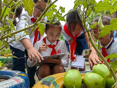 微信图片_20221010145830.jpg 微信图片_20221010145830.jpg