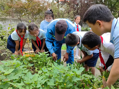 微信图片_20221010145928.jpg 微信图片_20221010145928.jpg