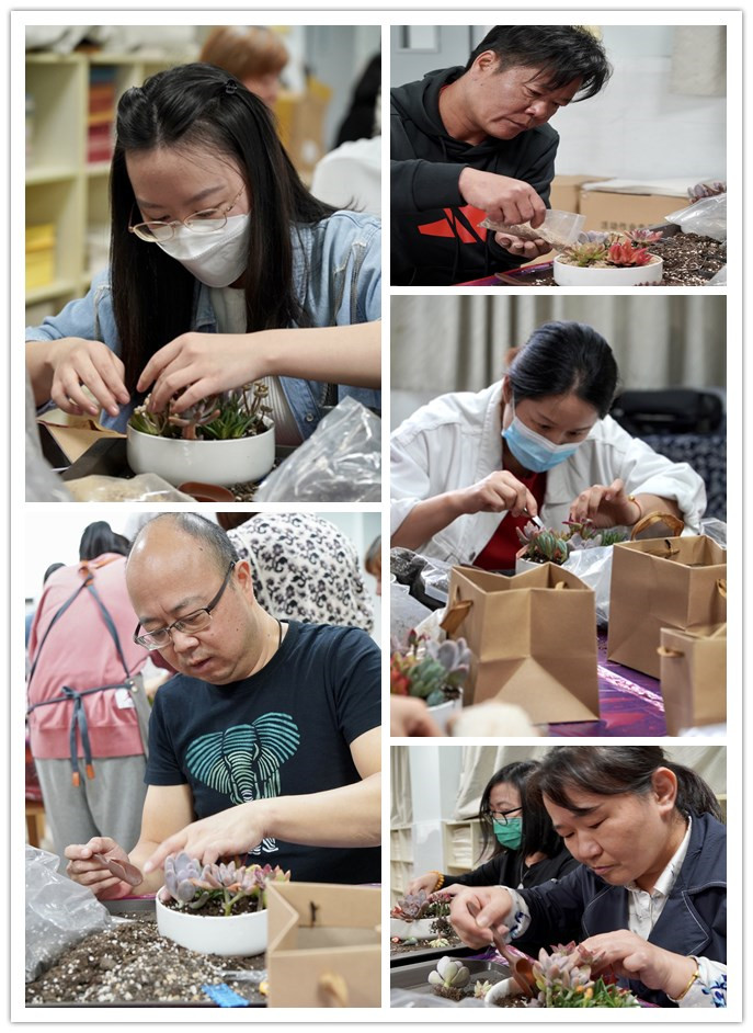 绿植1.jpg