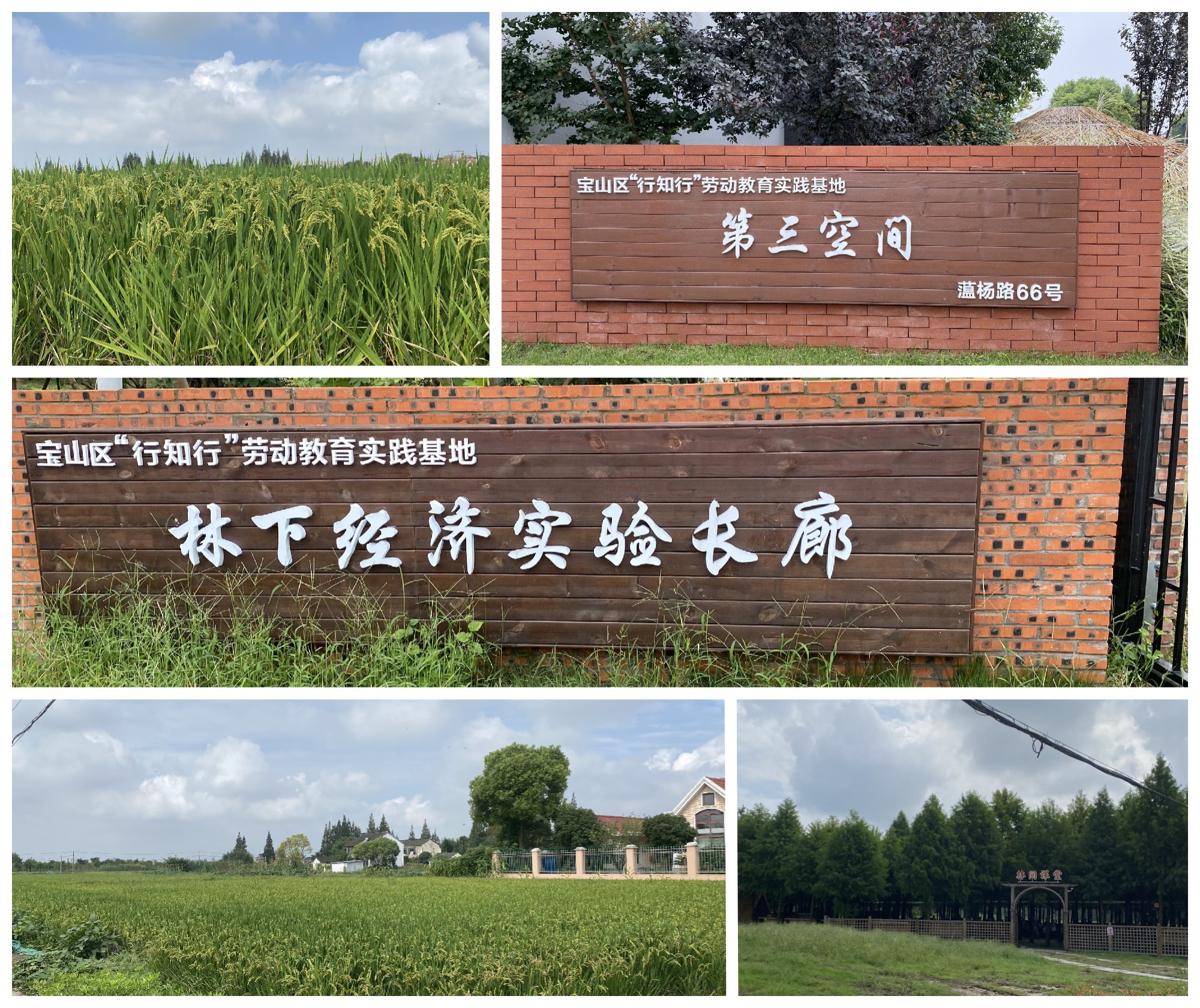 环境1.jpg