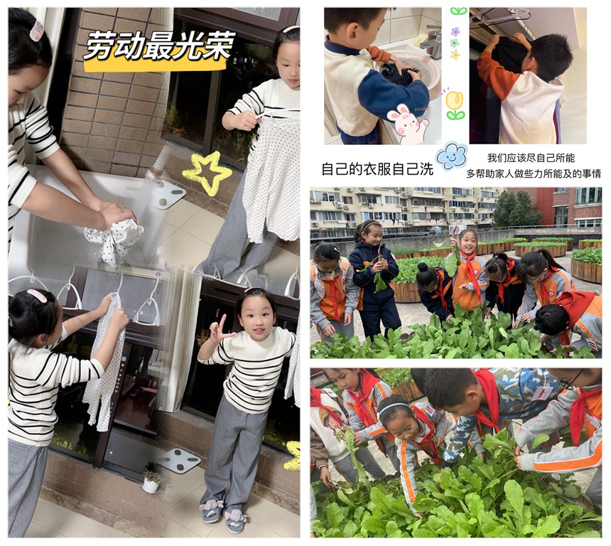 图5_拼图.jpg