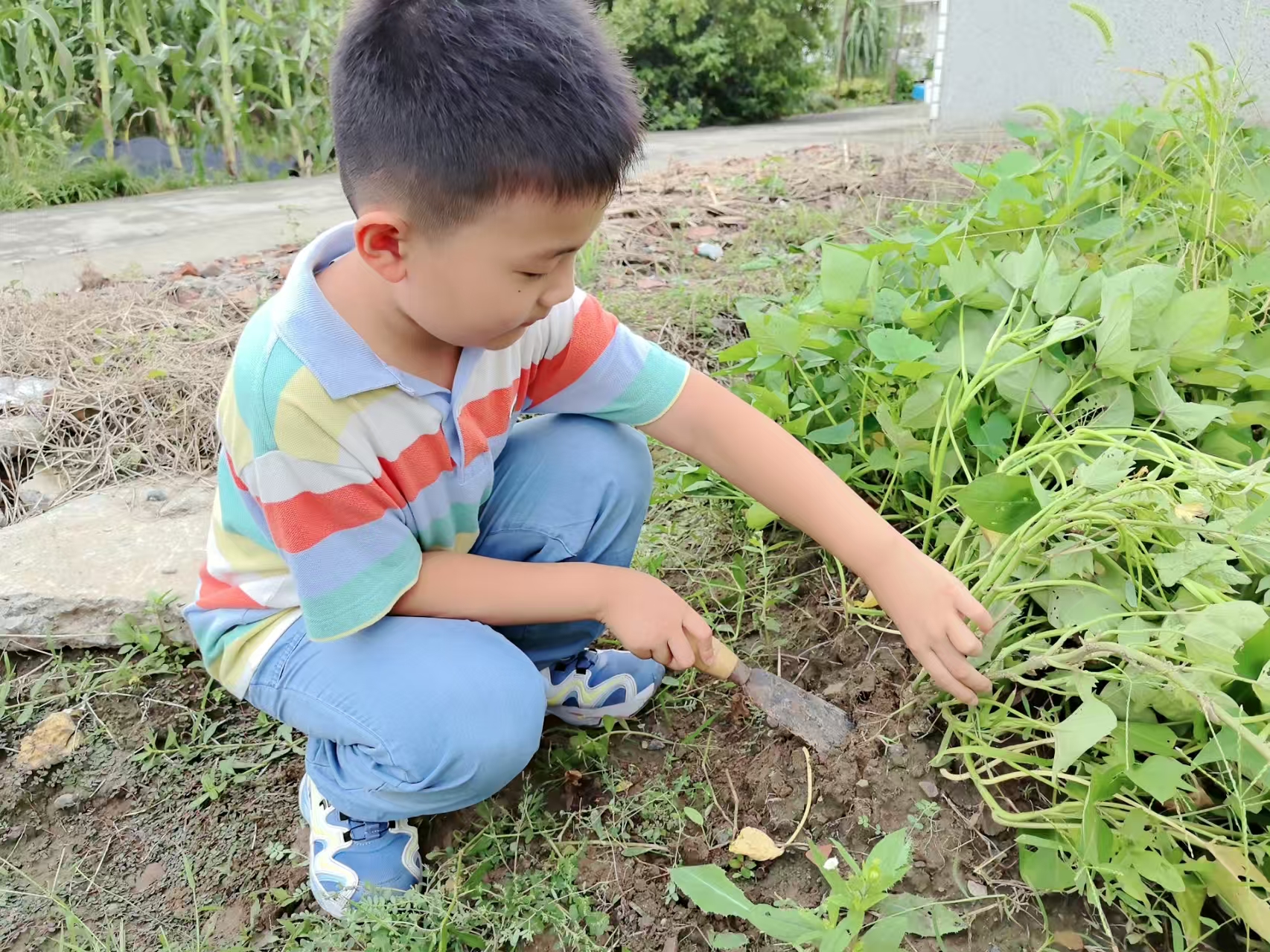 一4 (12).jpg 一4 (12).jpg