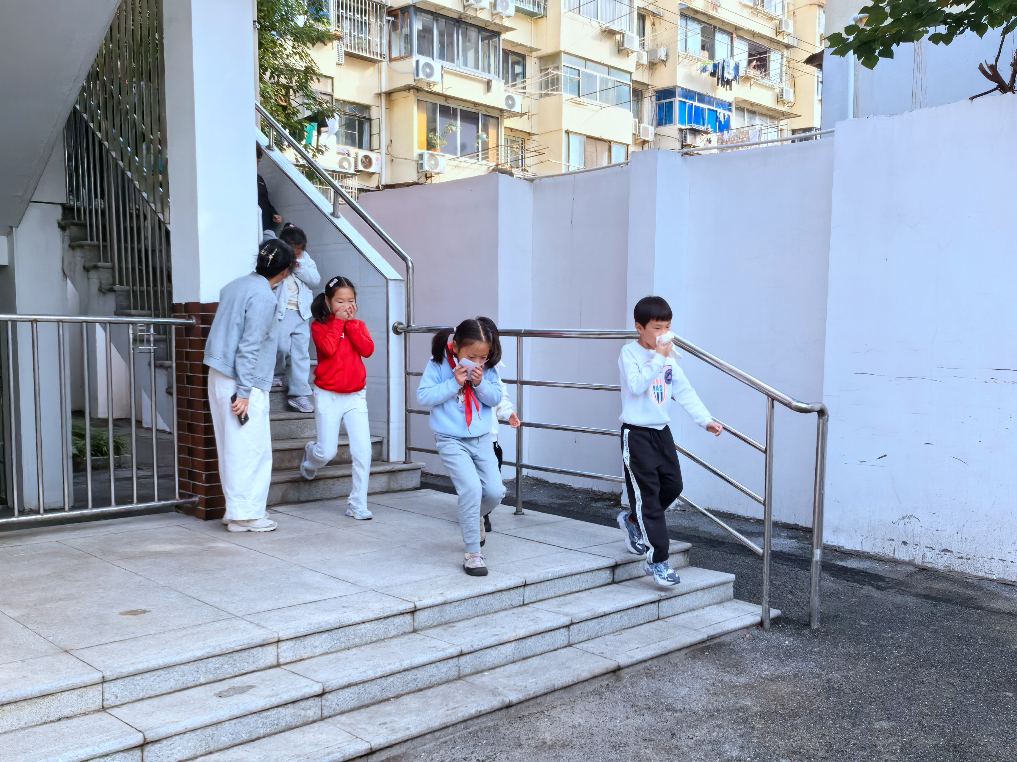 IMG_20251106_085632.jpg IMG_20251106_085632.jpg