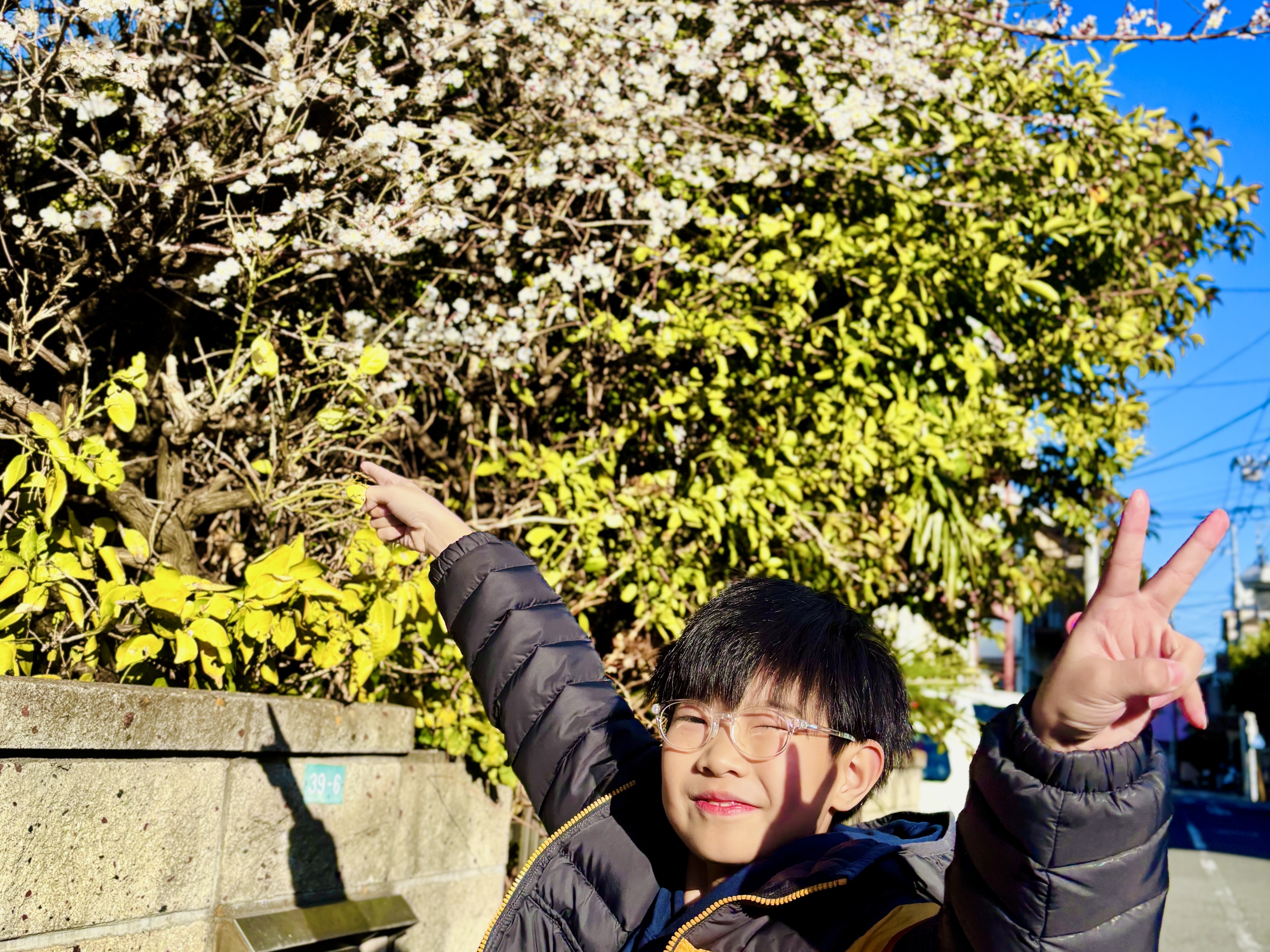 宗明逸 探春.jpg 宗明逸 探春.jpg